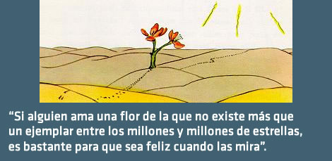 Frase de "El Principito" (Antoine de Saint-Exupéry) que me viene que ni pintada.