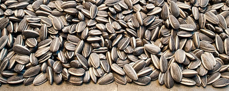 Multiplicación materializada artesanalmente y fotoreproducida a máquina digital. Lo más.