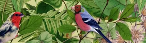 Like/Unlike portadas de discos&nbsp;2014