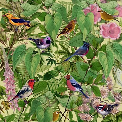 Mark Barrot se vende con pegatina que dice "Music of Ibiza", pero bien.