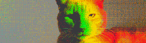 Foto-5-9-15-18-08-18