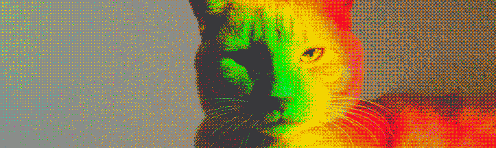 Foto-5-9-15-18-08-18