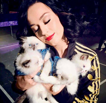 Katy con su kitty.