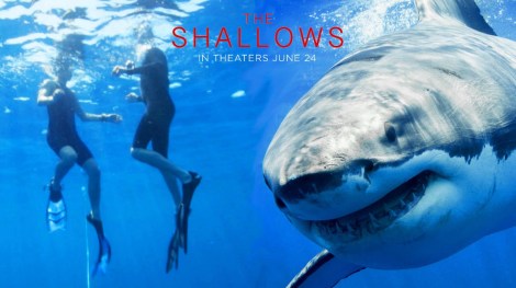 'The Shallows', Una de las mejores películas terroríficas del año.