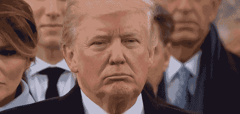 Melaniamanía y pantojamanía